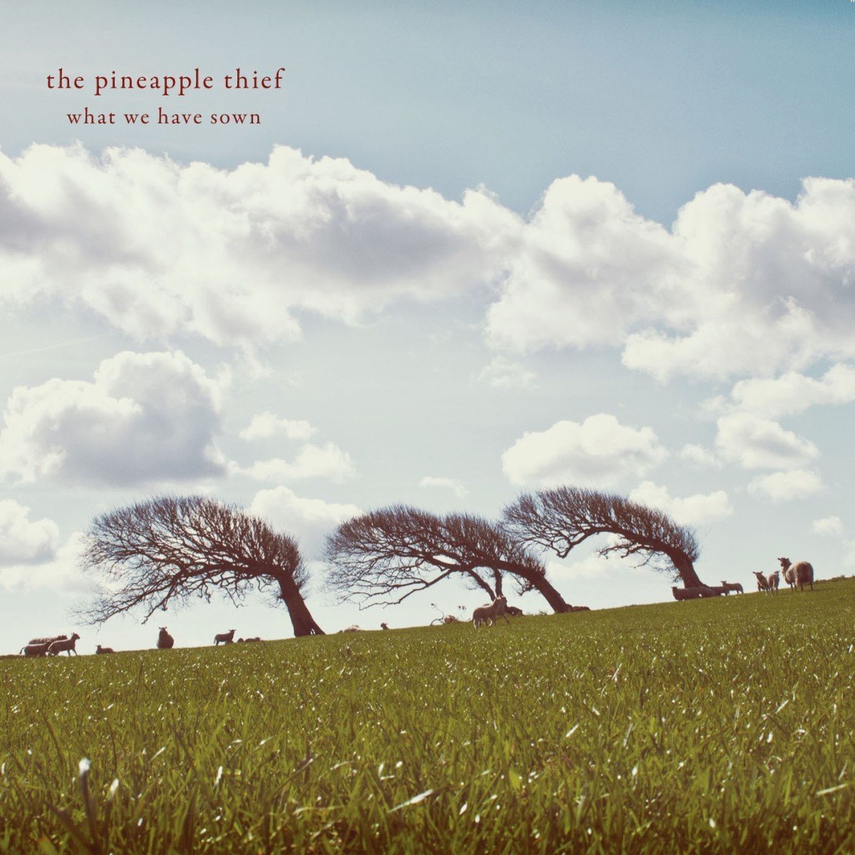 The Pineapple Thief - What We Have Sown 2018 remaster. 